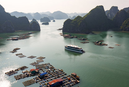 Halong Bay Day Tour from Hanoi