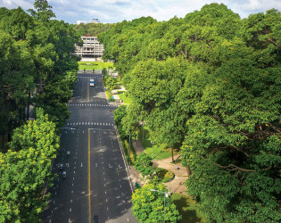 Ho Chi Minh City Morning Tour | Half Day City Highlights